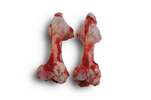 Pork Femur Bones